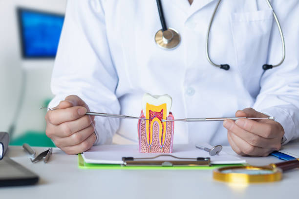 Best Emergency Treatment for Oral Infections in Laupahoehoe, HI